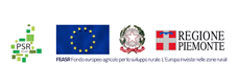 PSR 2014-2020, Regione Piemonte, Misura 7.6.1 - Ristrutturazione fabbricato d'alpeggio Granges des A