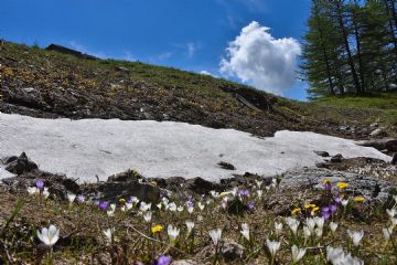 Sestriere: una giornata di lutto cittadino per la tragica scomparsa di Carlalberto Cimenti e Patrick Negro